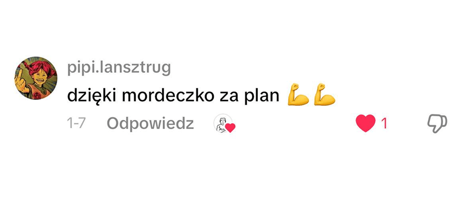 Recenzja użytkownika